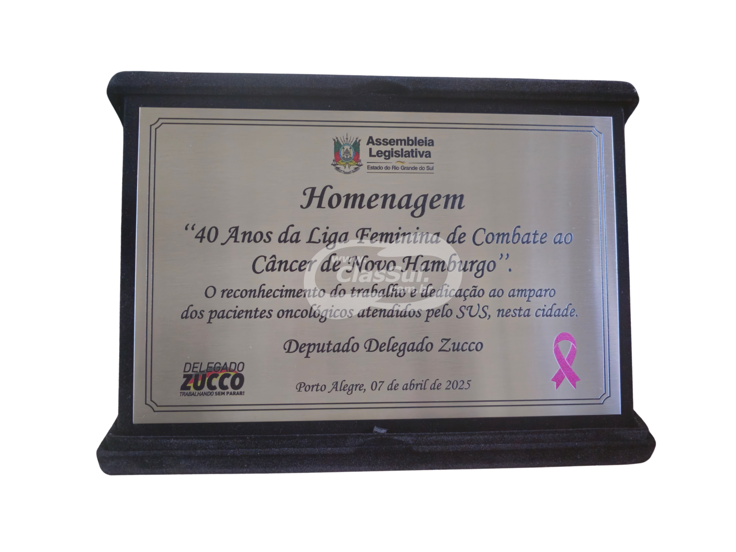 Placa de Homenagem Premium - Imagem 2